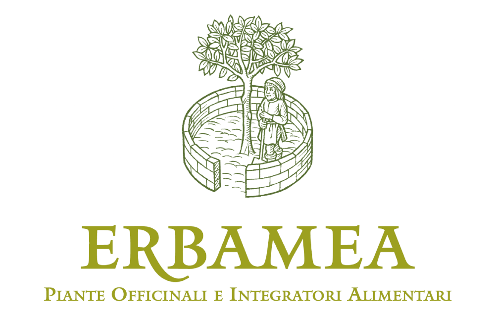Erbamea