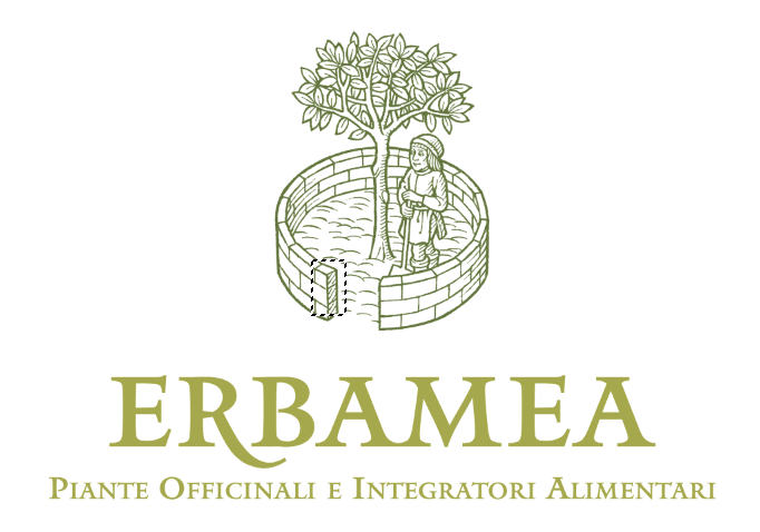 Erbamea